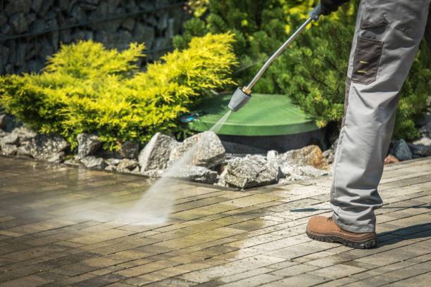 Best Dumpster Area Cleaning  in Fris, CO